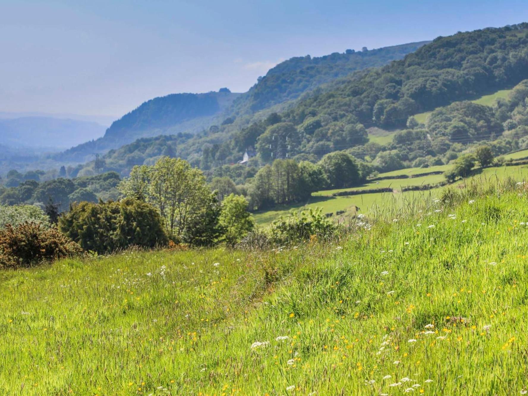 Вілла Ty'N Y Cae Llanbedr-y-cennin Екстер'єр фото